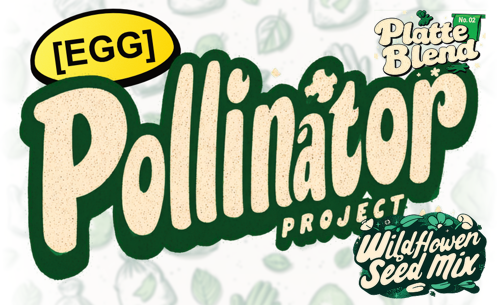 EcoHunt Pollinator Project graphic