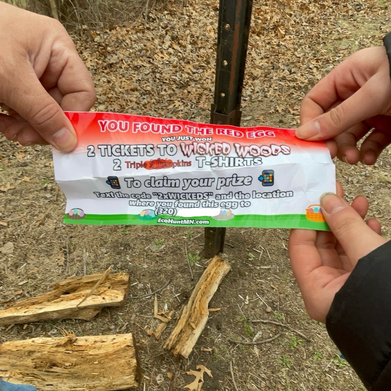 EcoHunt 2025 Memory 6